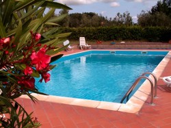 Farmohuse swimming pool Tuscany